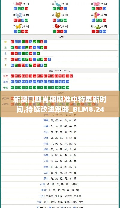 新澳门四肖期期准中特更新时间,持续改进策略_BLM8.24