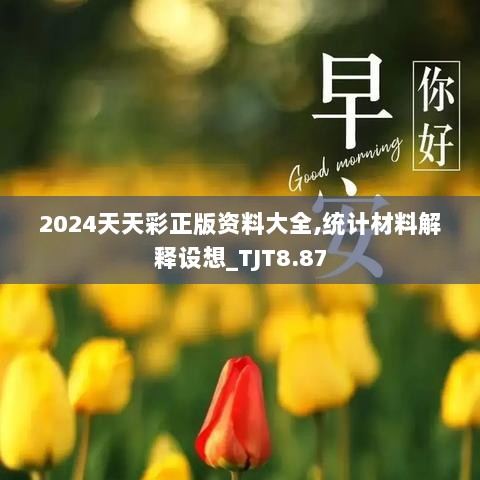 2024天天彩正版资料大全,统计材料解释设想_TJT8.87