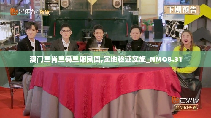 澳门三肖三码三期凤凰,实地验证实施_NMO8.31