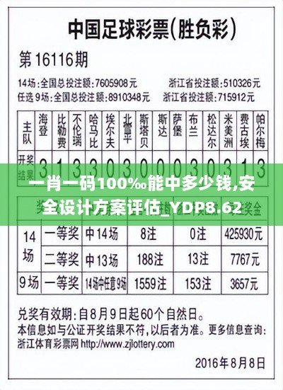 一肖一码100‰能中多少钱,安全设计方案评估_YDP8.62