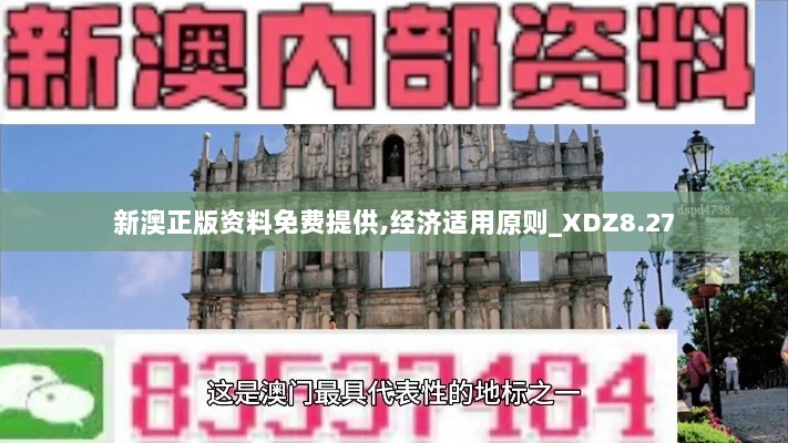 新澳正版资料免费提供,经济适用原则_XDZ8.27