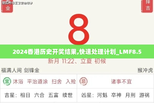 2024香港历史开奖结果,快速处理计划_LMF8.5