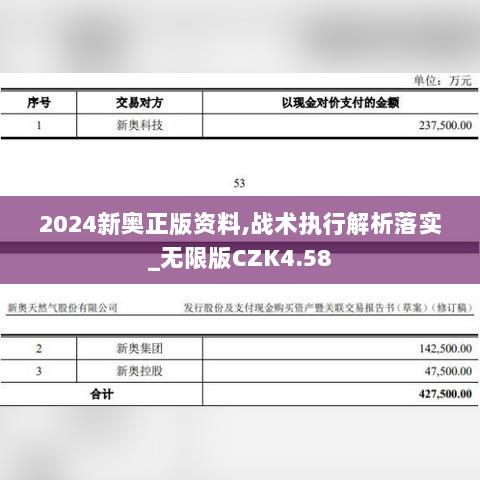 2024新奥正版资料,战术执行解析落实_无限版CZK4.58