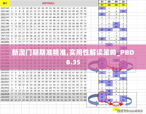 新澳门期期准精准,实用性解读策略_PBD8.35