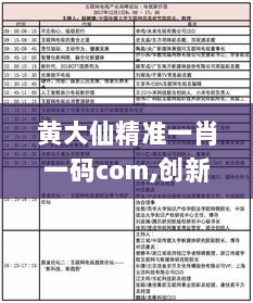 黄大仙精准一肖一码com,创新发展策略_SSK8.39