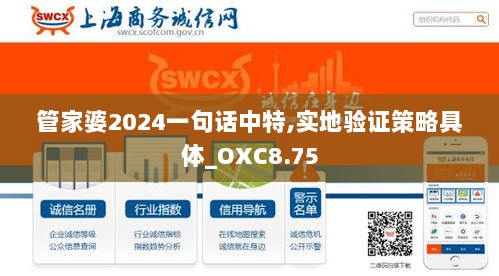 管家婆2024一句话中特,实地验证策略具体_OXC8.75