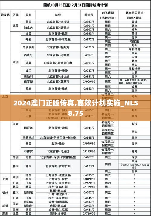 2024澳门正版传真,高效计划实施_NLS8.75