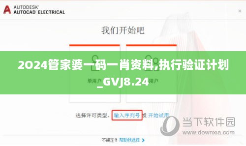 2O24管家婆一码一肖资料,执行验证计划_GVJ8.24