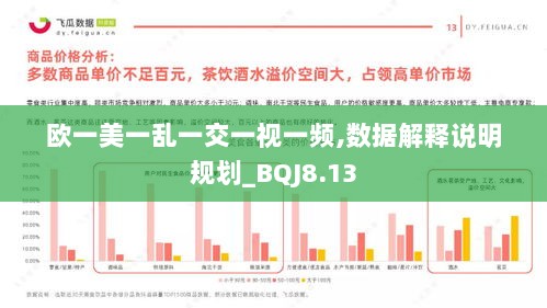 欧一美一乱一交一视一频,数据解释说明规划_BQJ8.13