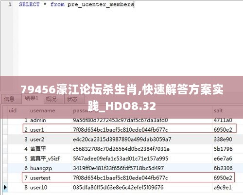 79456濠江论坛杀生肖,快速解答方案实践_HDO8.32