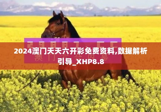 2024澳门天天六开彩免费资料,数据解析引导_XHP8.8