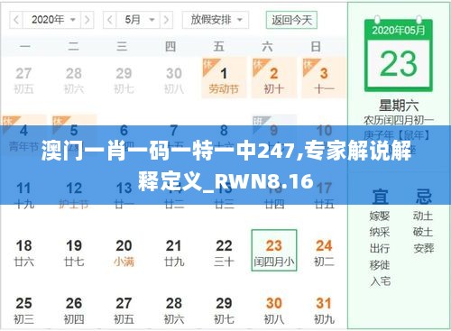 澳门一肖一码一特一中247,专家解说解释定义_RWN8.16