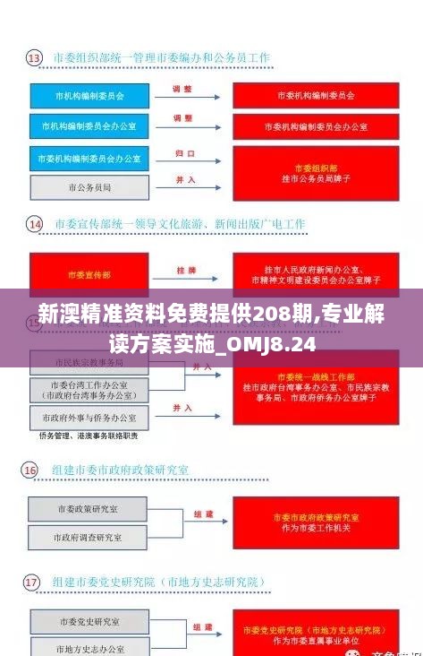 新澳精准资料免费提供208期,专业解读方案实施_OMJ8.24