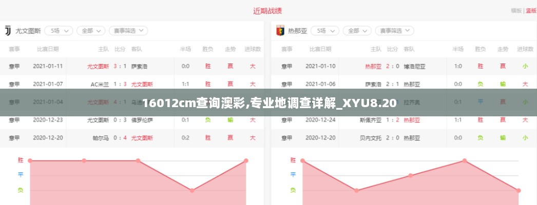 16012cm查询澳彩,专业地调查详解_XYU8.20