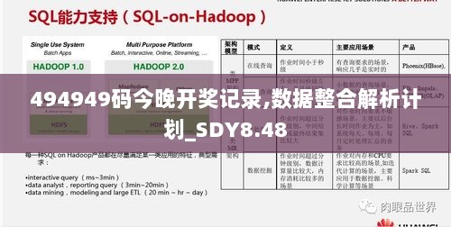 494949码今晚开奖记录,数据整合解析计划_SDY8.48