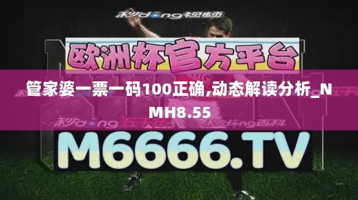 管家婆一票一码100正确,动态解读分析_NMH8.55