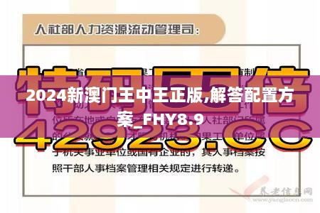 2024新澳门王中王正版,解答配置方案_FHY8.9