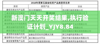 新澳门天天开奖结果,执行验证计划_YJY8.84