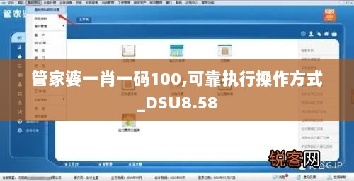 管家婆一肖一码100,可靠执行操作方式_DSU8.58