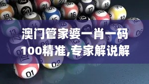 澳门管家婆一肖一码100精准,专家解说解释定义_ZCW8.85