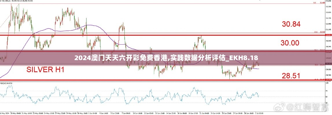 2024澳门天天六开彩免费香港,实践数据分析评估_EKH8.18