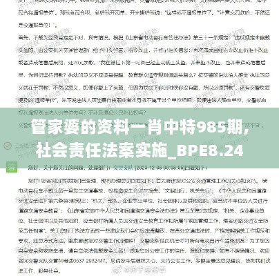 管家婆的资料一肖中特985期,社会责任法案实施_BPE8.24