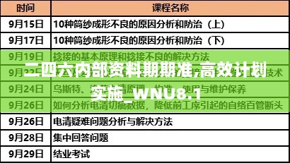 二四六内部资料期期准,高效计划实施_WNU8.1