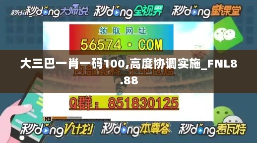 大三巴一肖一码100,高度协调实施_FNL8.88