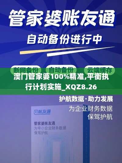 澳门管家婆100%精准,平衡执行计划实施_XQZ8.26