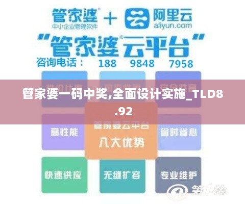 管家婆一码中奖,全面设计实施_TLD8.92