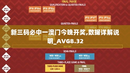 新三码必中一澳门今晚开奖,数据详解说明_AVG8.32