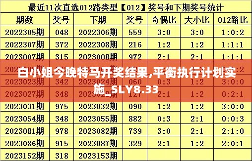 白小姐今晚特马开奖结果,平衡执行计划实施_SLY8.33