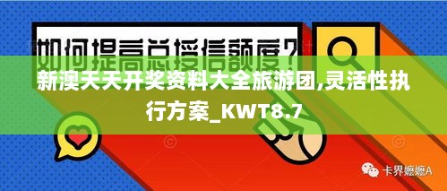 新澳天天开奖资料大全旅游团,灵活性执行方案_KWT8.7