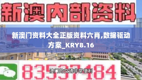 新澳门资料大全正版资料六肖,数据驱动方案_KRY8.16