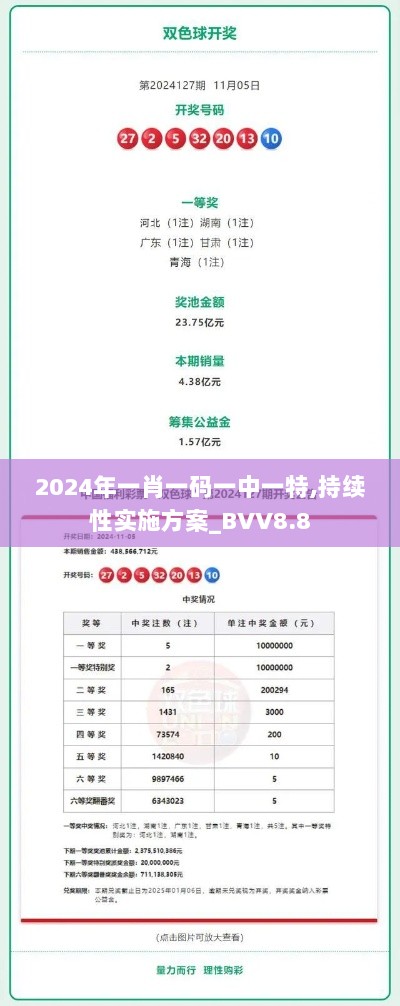 2024年一肖一码一中一特,持续性实施方案_BVV8.8