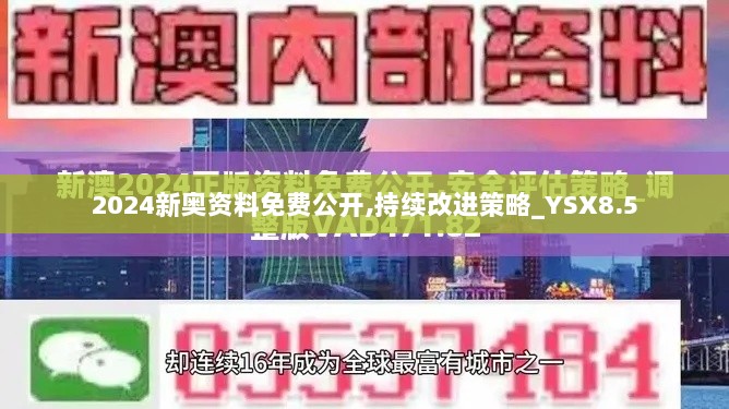 2024新奥资料免费公开,持续改进策略_YSX8.5