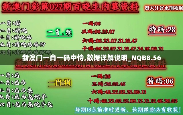 新澳门一肖一码中恃,数据详解说明_NQB8.56