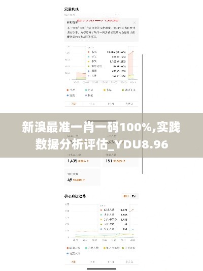 新溴最准一肖一码100%,实践数据分析评估_YDU8.96