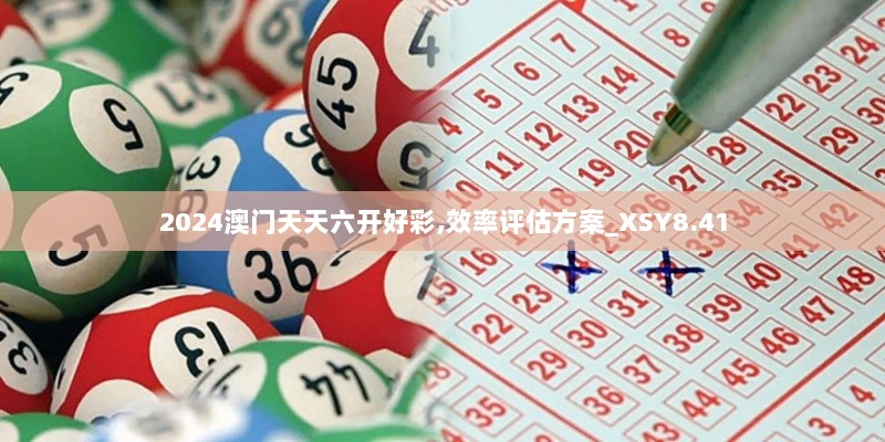 2024澳门天天六开好彩,效率评估方案_XSY8.41