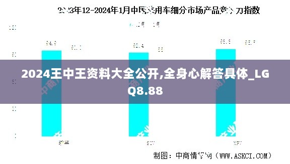 2024王中王资料大全公开,全身心解答具体_LGQ8.88