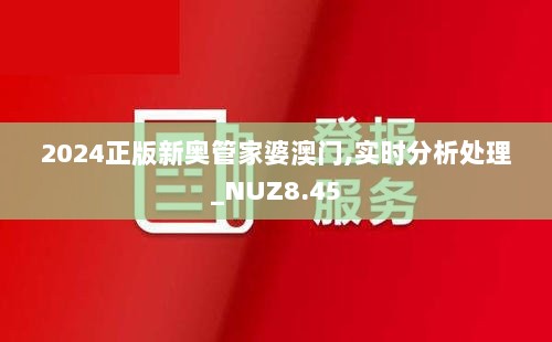 2024正版新奥管家婆澳门,实时分析处理_NUZ8.45