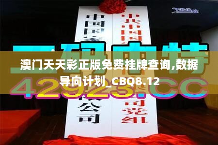 澳门天天彩正版免费挂牌查询,数据导向计划_CBQ8.12