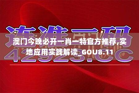 澳门今晚必开一肖一特官方推荐,实地应用实践解读_GOU8.11