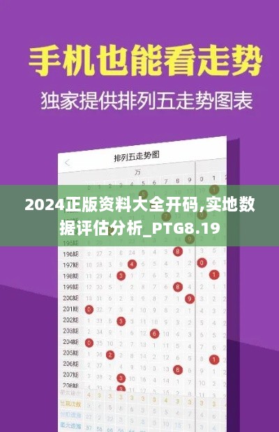 2024正版资料大全开码,实地数据评估分析_PTG8.19