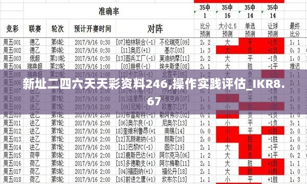 新址二四六天天彩资料246,操作实践评估_IKR8.67