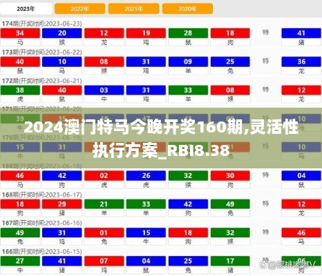 2024澳门特马今晚开奖160期,灵活性执行方案_RBI8.38