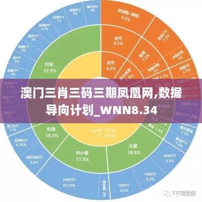 澳门三肖三码三期凤凰网,数据导向计划_WNN8.34