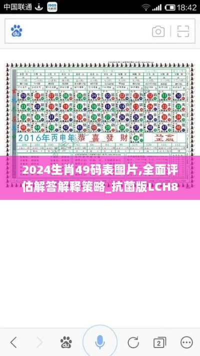 2024生肖49码表图片,全面评估解答解释策略_抗菌版LCH8.22