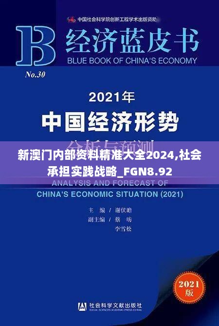 新澳门内部资料精准大全2024,社会承担实践战略_FGN8.92