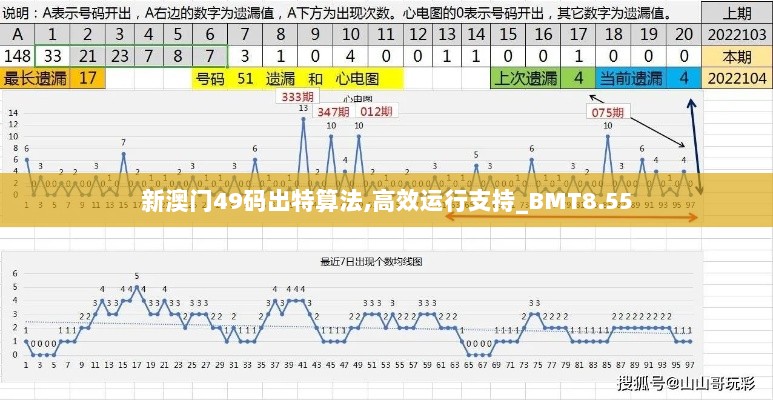 新澳门49码出特算法,高效运行支持_BMT8.55